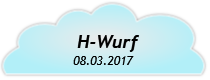 H-Wurf