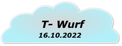 T- Wurf
